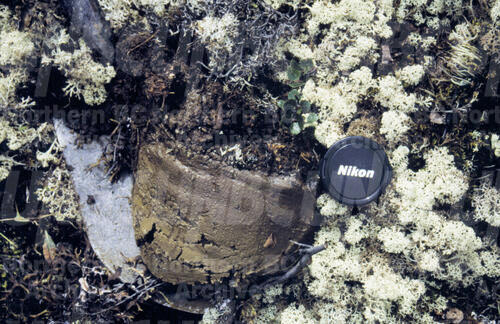 Original Digital object not accessible