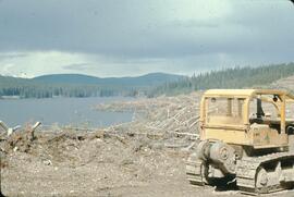 Logging on lakeshore at Morice River