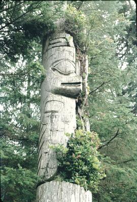 Ninstints totem poles at Anthony Island