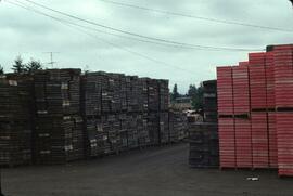 Stacked berry picking containers at Langley