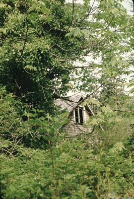 Exterior of abandoned house in the Nitinat-Clo-oose area on the West Coast Trail