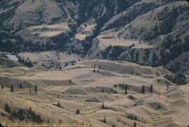 Aerial view of bighorn sheep range in Chilcotin Valley