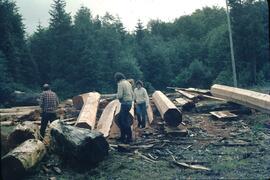 Joan Sawicki and others with logs prepared for totem pole carving at Skidegate in the Queen Charlotte Islands