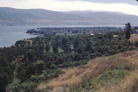 Panoramic view of Summerland