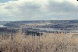 City view of Taylor