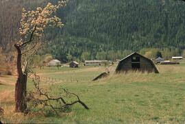 Farmstead in the Slocan Valley