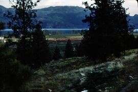 View of orchards from Mt. Boucherie