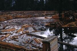 Debris from sawmill in Mission