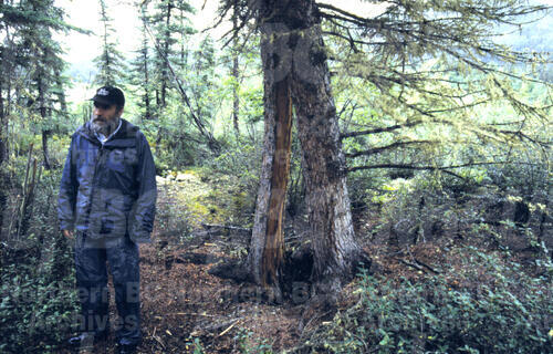 Original Digital object not accessible