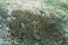 Sandstone residual soil site, Eagle Plains - 04