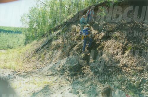 Original Digital object not accessible