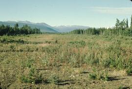 Old air strip at Morchuea Lake