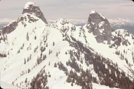 Snowscapes of the Lions