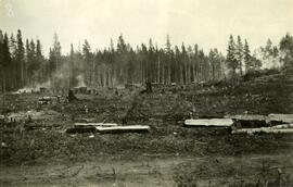 Land clearing at Fort Fraser