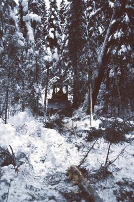 D4H skidder on narrow skid road at Summit Lake