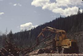 Log sorting equipment in Nimpkish Valley