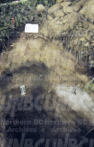 Original Digital object not accessible