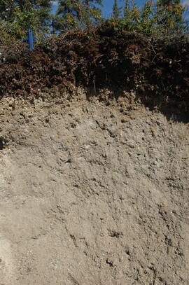Klutlan Glacier soil at site Y07-07