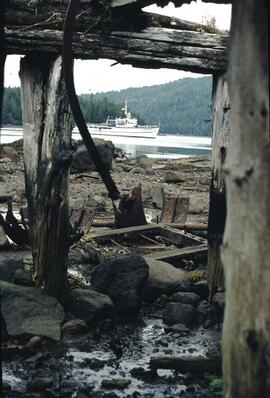 Old buildings at Rose Harbour Whaling Station in the Queen Charlotte Islands