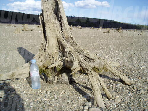 Original Digital object not accessible