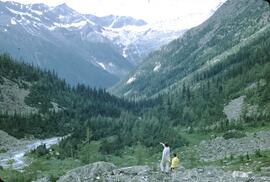 Looking north near Lake of the Hanging Glacier, Horsethief Creek