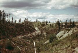 Esker complex near Prince George
