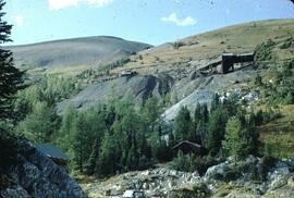Paradise Mine at Toby Creek