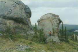 Limestone tors, N Ogilvie Mts, Dempster Hwy - 04
