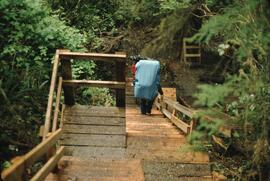 Hiking on steep stairs near Carmanah Point on the West Coast Trail