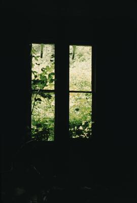 Interior of abandoned house looking through window in the Nitinat-Clo-oose area on the West Coast Trail