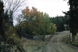 Autumn trees at Postill Lake