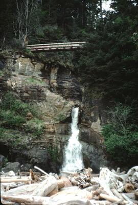 Wooden suspension bridge along the West Coast Trail