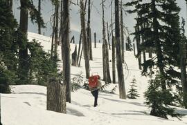 Joan Sawicki on Mount Laughington trail