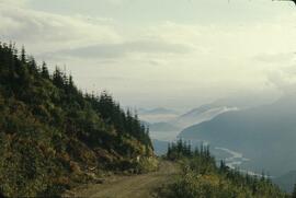 Road and valley view from Alice Ridge