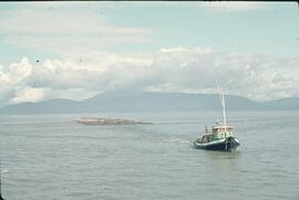 Tugboat hauling logs near New Westminster
