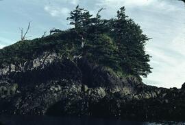 Small islands near Rose Harbour