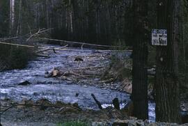 Polluted Mack Creek, Majorville