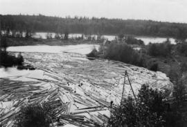 Fraser River backchannel with logs at Peden Hill sawmill