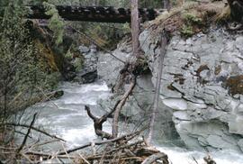 Cochrane Creek