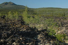 Holocene basalt flows near Camp 3