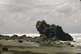 Rocky shoreline in heavy winds near Carmanah Point on the West Coast Trail