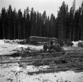 Pulpwood Logging Operations on P.T.S. X91960, Swamp Lake, Prince George Pulp and Paper Ltd.