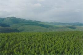 Aerial views (E 15 Mile to Rock Ck) - 01