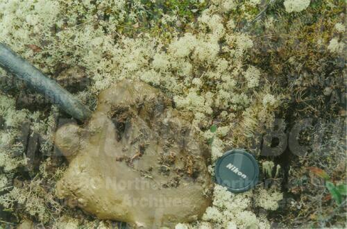 Original Digital object not accessible