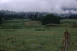 Esker in rangeland, Dee Lake Road