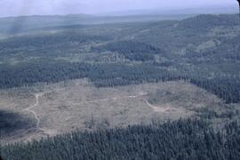 Aerial view of clearcutting near Alexis Creek