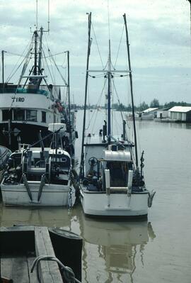 Fishing harbour in the Delta-Richmond area