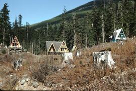 Ski chalets in the summer at Clear River