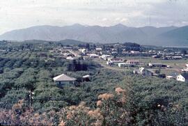 Orchard and urban scene in Creston
