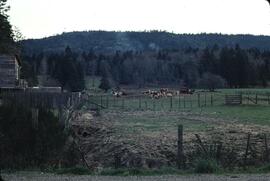Pasture near Lantzville for Agricultural Land Commission appeals